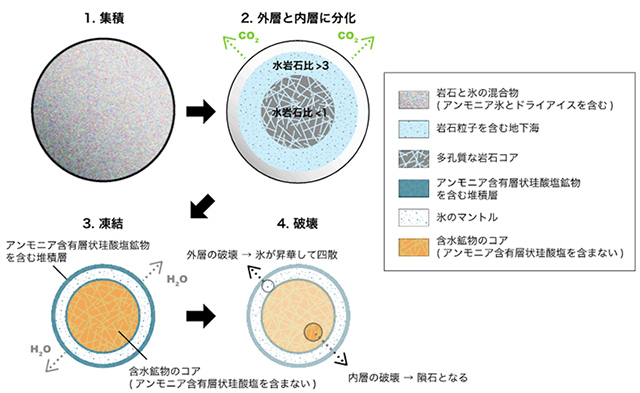 今回の研究成果から導かれたC型小惑星の形成進化史 今回の研究成果から導かれたC型小惑星の形成進化史