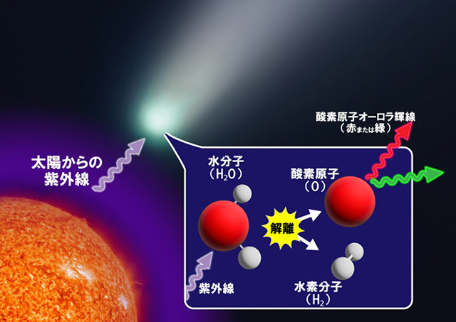 今回の研究のイメージ図 今回の研究のイメージ図