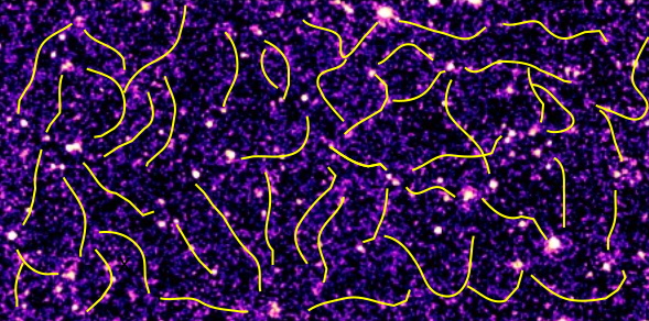 宇宙の網のX線放射