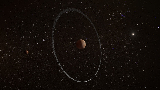 クワーオアー クワーオアー