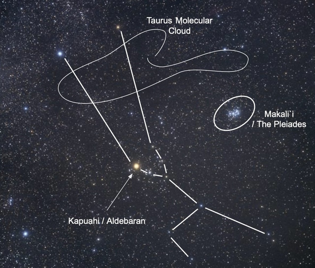 磁力線を巻き込み成長する赤ちゃん星 - アストロアーツ