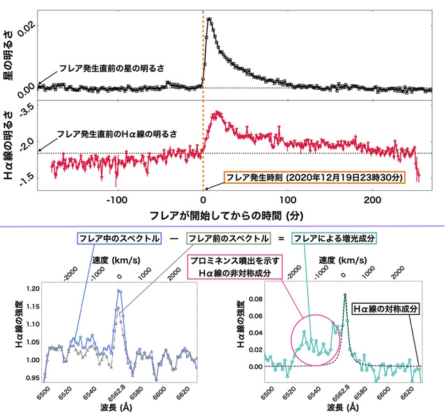 星の光の強さの時間変動と、スーパーフレアによるHα水素線の増光スペクトル 星の光の強さの時間変動と、スーパーフレアによるHα水素線の増光スペクトル