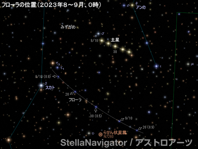 フローラの位置