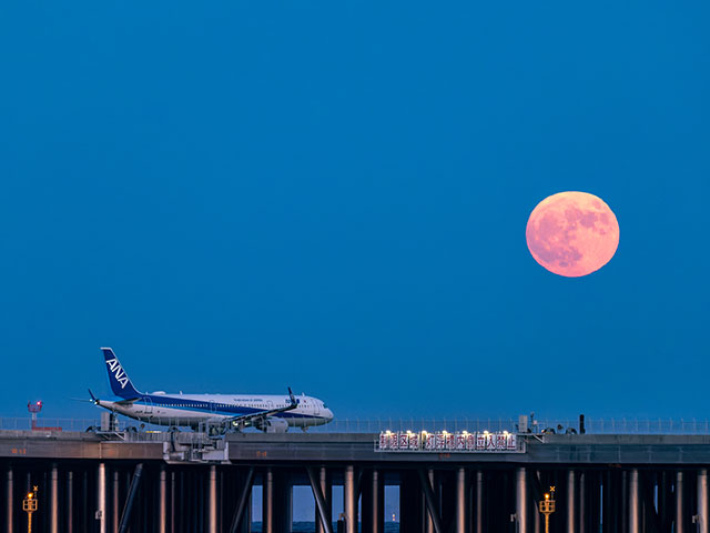 北山さんの作品例 北山さんの作品例