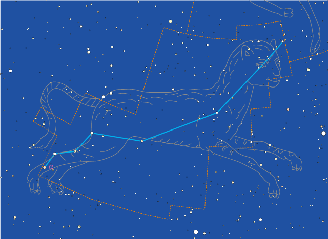 やまねこ座 やまねこ座