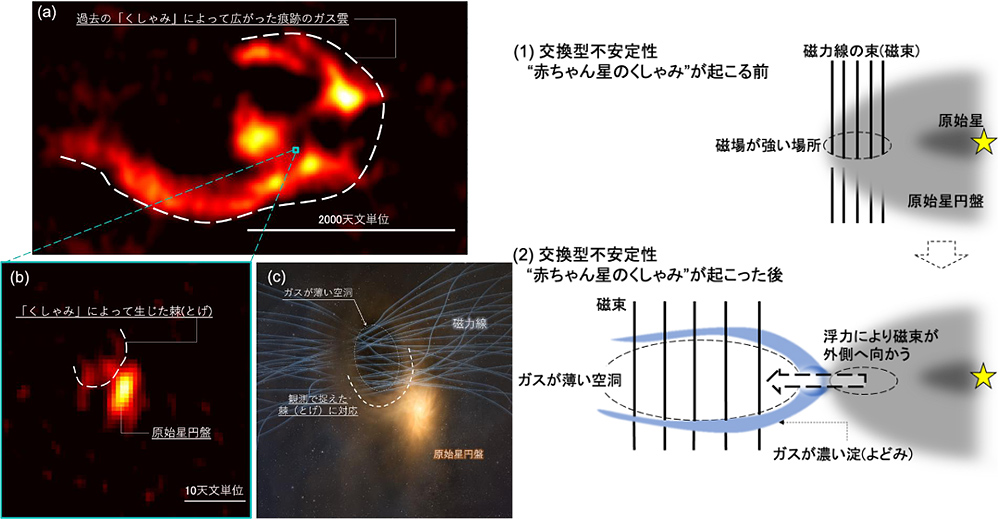 弓状ガス雲と棘の電波画像/交換型不安定性前後のガスと磁束分布の変化 弓状ガス雲と棘の電波画像/交換型不安定性前後のガスと磁束分布の変化