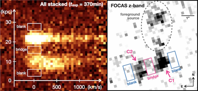 クエーサーをつなぐガスの構造 クエーサーをつなぐガスの構造