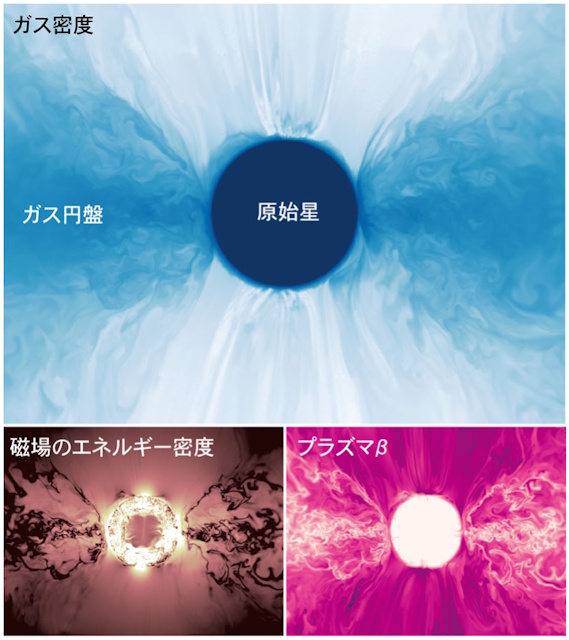 原始星が磁化した円盤ガスを取り込む様子
