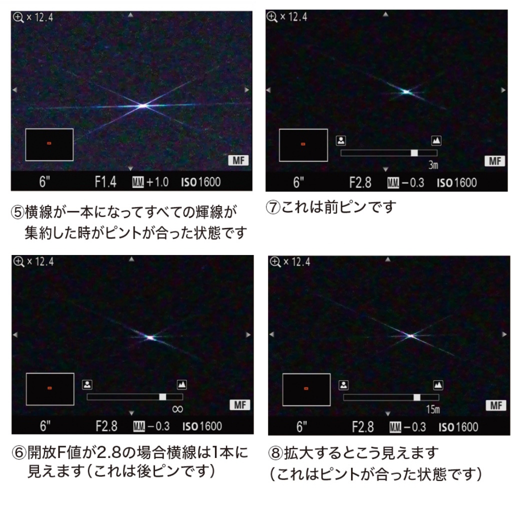 フィルターの表面 フィルターの表面