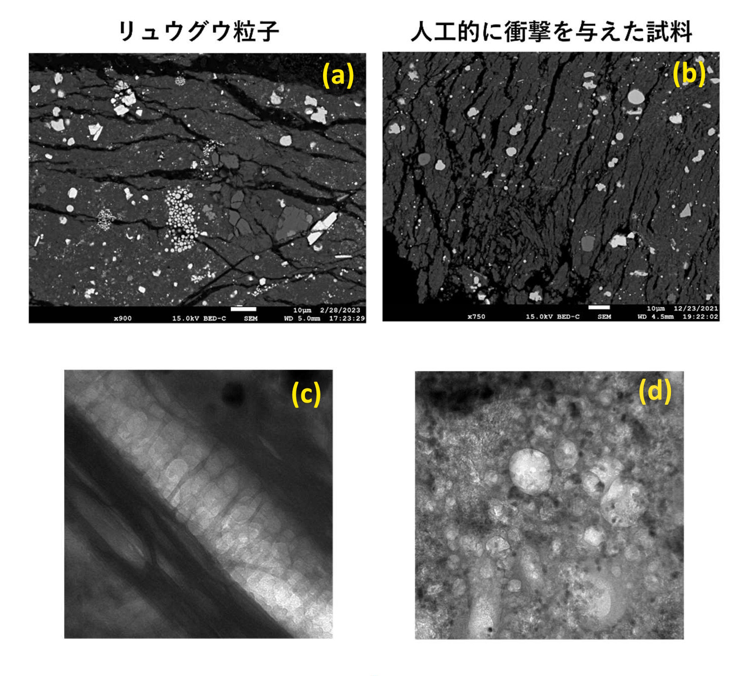 リュウグウ粒子と衝撃実験後の隕石試料に見られる衝突の痕跡 リュウグウ粒子と衝撃実験後の隕石試料に見られる衝突の痕跡