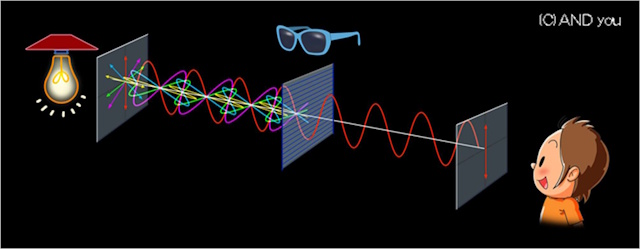 偏光の概念図 偏光の概念図