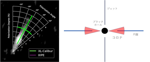 XL-Caliburの観測結果、コロナの想像図 XL-Caliburの観測結果、コロナの想像図