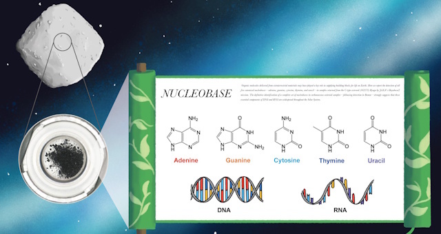 今回の研究成果のイメージイラスト
