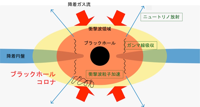 超大質量ブラックホール周辺の衝撃波による粒子加速とニュートリノ生成の模式図 超大質量ブラックホール周辺の衝撃波による粒子加速とニュートリノ生成の模式図
