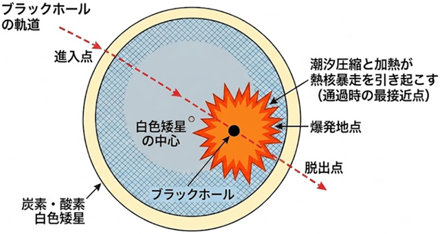 原始ブラックホールが引き金となったIa型超新星