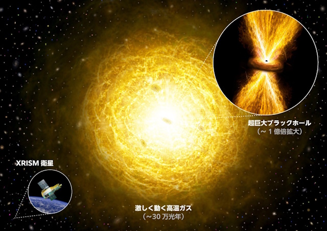 今回の研究の概念図 今回の研究の概念図