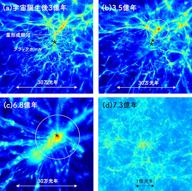 宇宙初期の原始銀河団におけるガスの分布と、その中でのブラックホールの形成・成長のシミュレーション 宇宙初期の原始銀河団におけるガスの分布と、その中でのブラックホールの形成・成長のシミュレーション