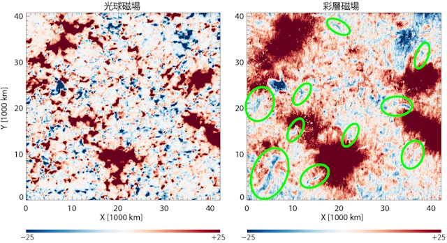 静穏領域における光球と彩層の磁場分布 静穏領域における光球と彩層の磁場分布