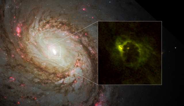 M77の中央部と銀河中心に位置する超大質量ブラックホールを取り巻くガスの分布