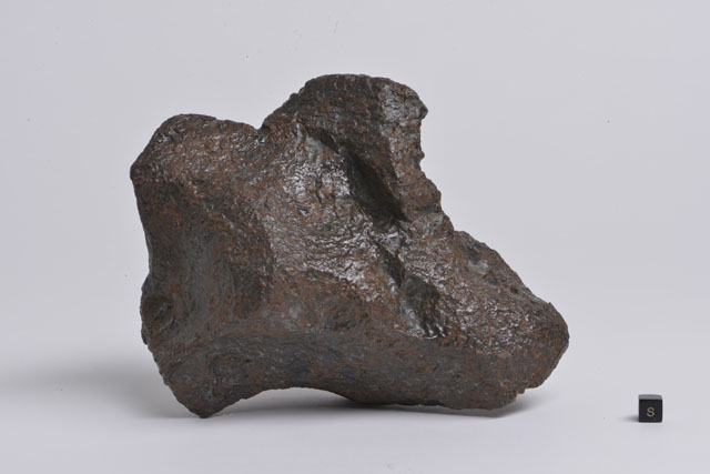 隕石発見！畑で見つけた「変わった石」 - アストロアーツ
