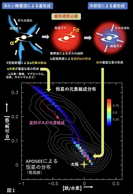 天の川銀河の進化の想像図