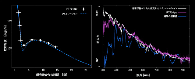 光度曲線とスペクトルの比較