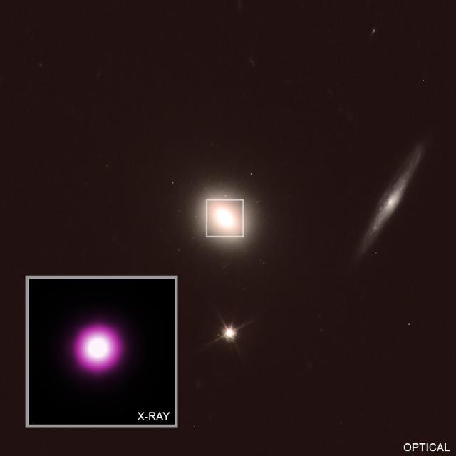 ASASSN-14liのX線画像と可視光線画像