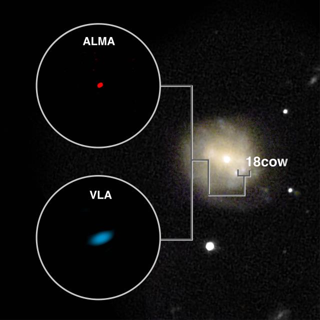 アルマ望遠鏡とVLAがとらえたAT 2018cow