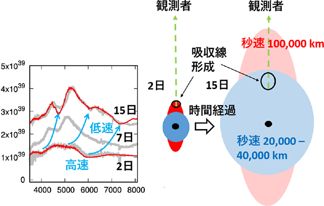 SN 2017iukのスペクトル進化と現象の説明図