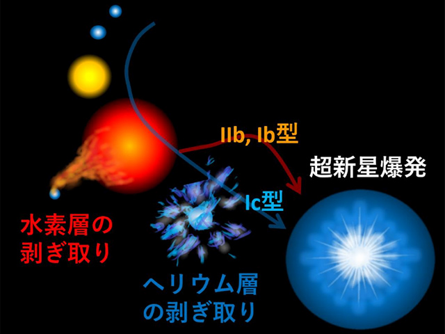 大質量星の終末期の進化