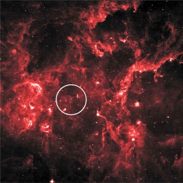はくちょう座OB2星団の中間赤外線画像