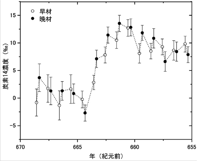 鳥海神代杉の炭素14濃度の測定結果