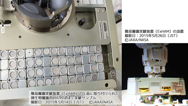 微生物試料曝露パネル