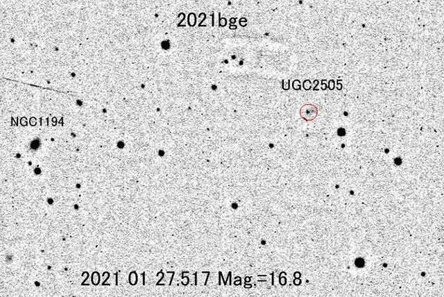 くじら座の新天体