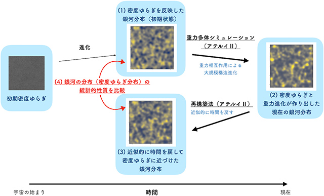 研究の解説図