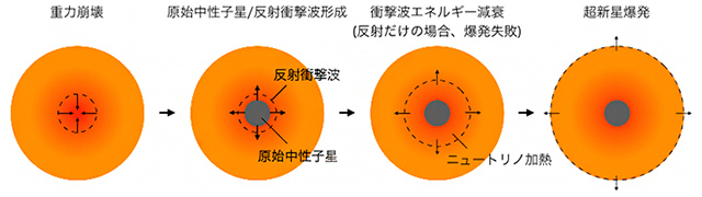 重力崩壊型超新星の爆発メカニズム