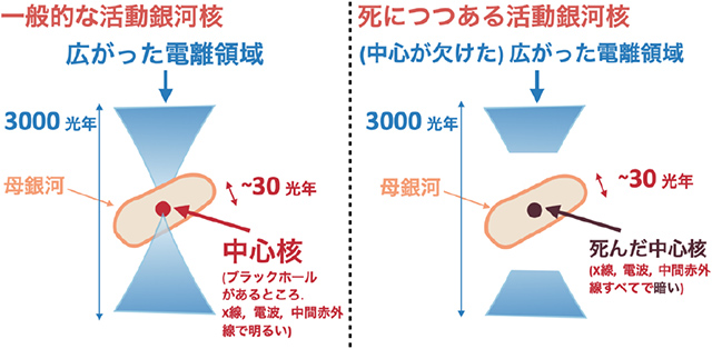 死につつある活動銀河核の説明図