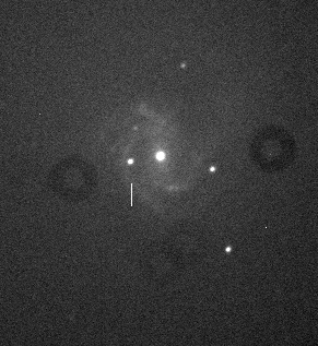 超新星2014dtの発見画像