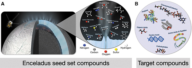 エンケラドスのシードセットに含まれる化合物、エンケラドスの海で存続するための生物学的標的