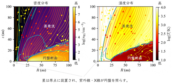 原始太陽系円盤における光蒸発シミュレーションの例