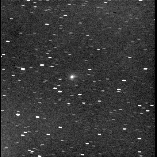 門田さん撮影の西村彗星