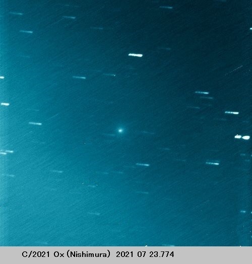 野口さん撮影の西村彗星