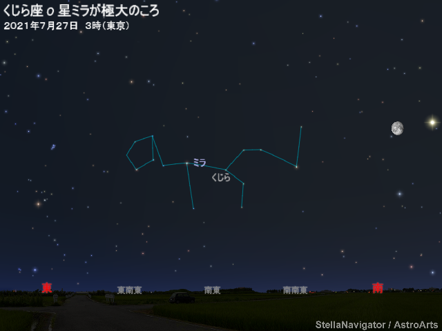 星図