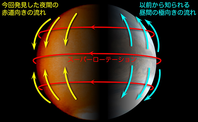 金星の雲層付近の大気循環のイメージ
