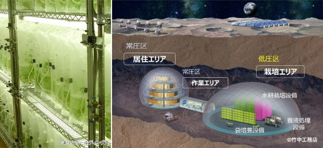 地上での袋型培養槽による栽培と月面農場のモデルイメージ