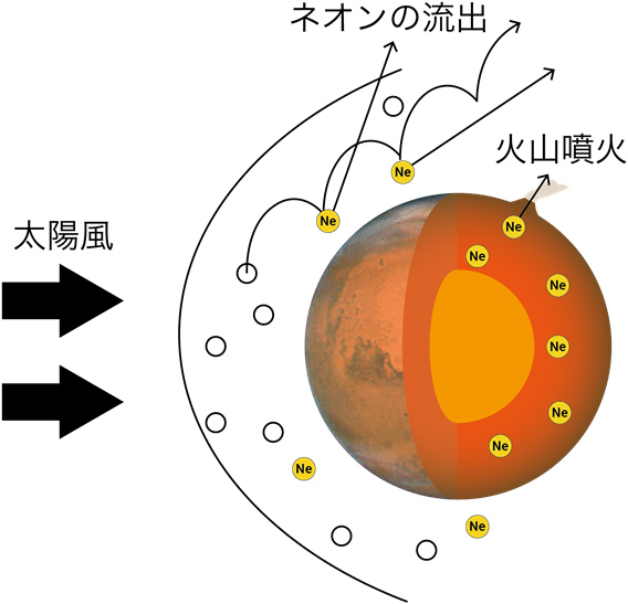 火星大気中のネオンの流出と供給