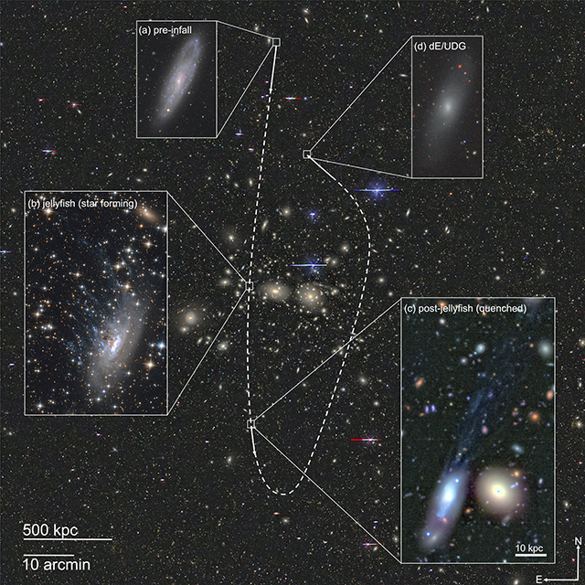 渦巻銀河から超淡銀河への進化を表す概念図