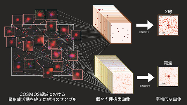 研究手法の概念図