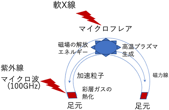 加速粒子がコロナループの足元に突っ込み、足元が発光する模式図