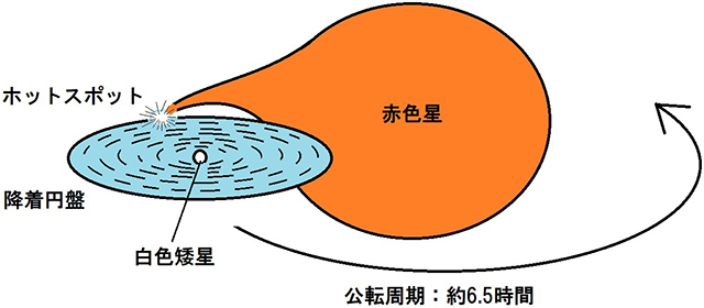 はくちょう座SSの想像図